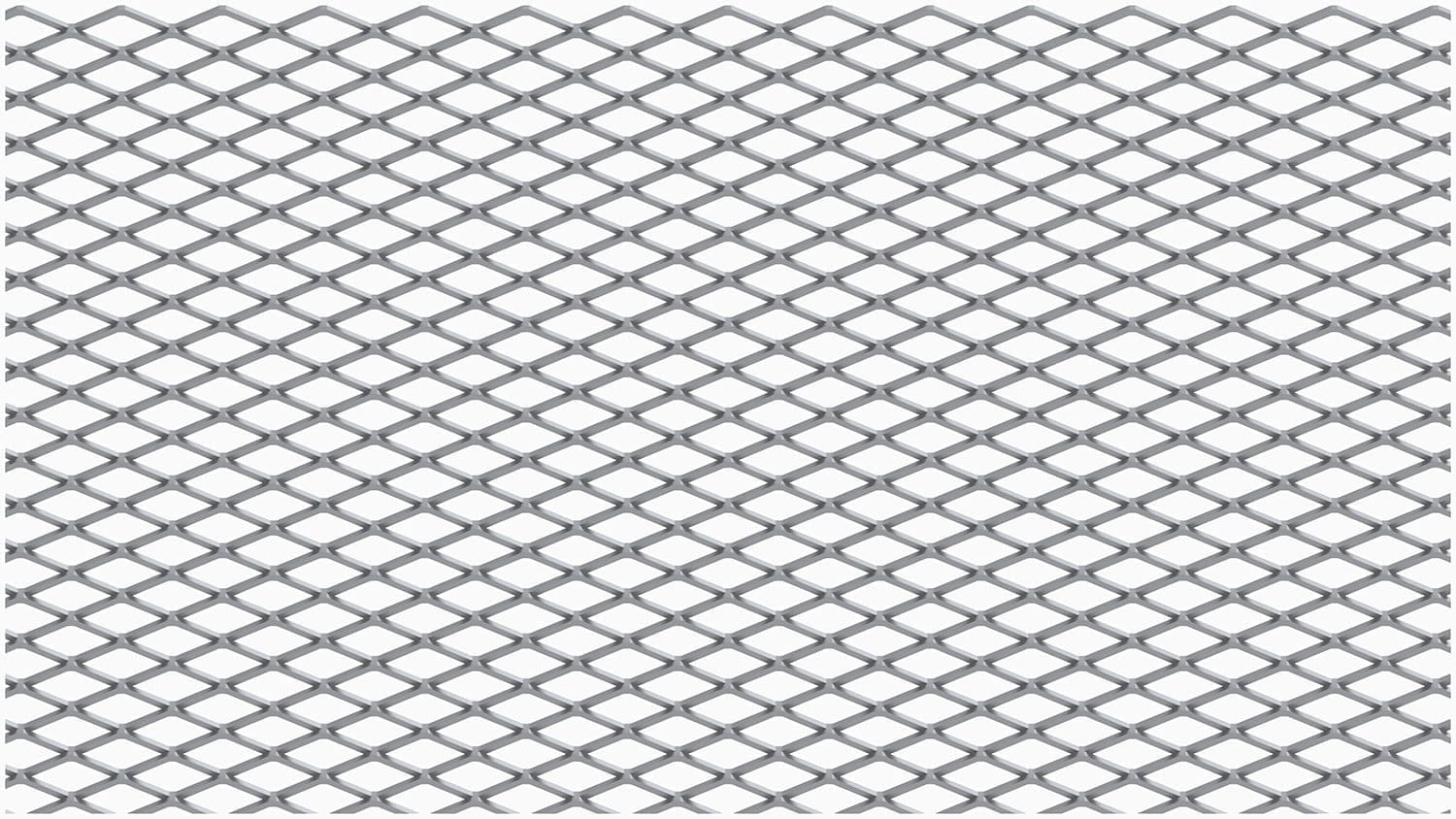 Expanded Metal — MG 10030