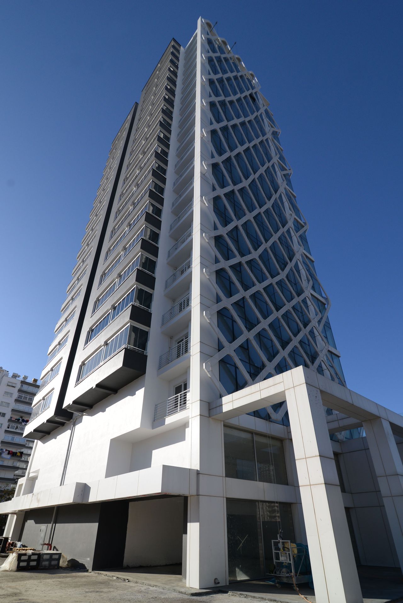 Palmofis image 3